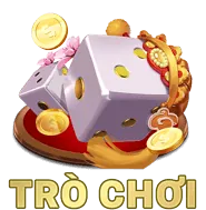 Phản hồi ưu tiên